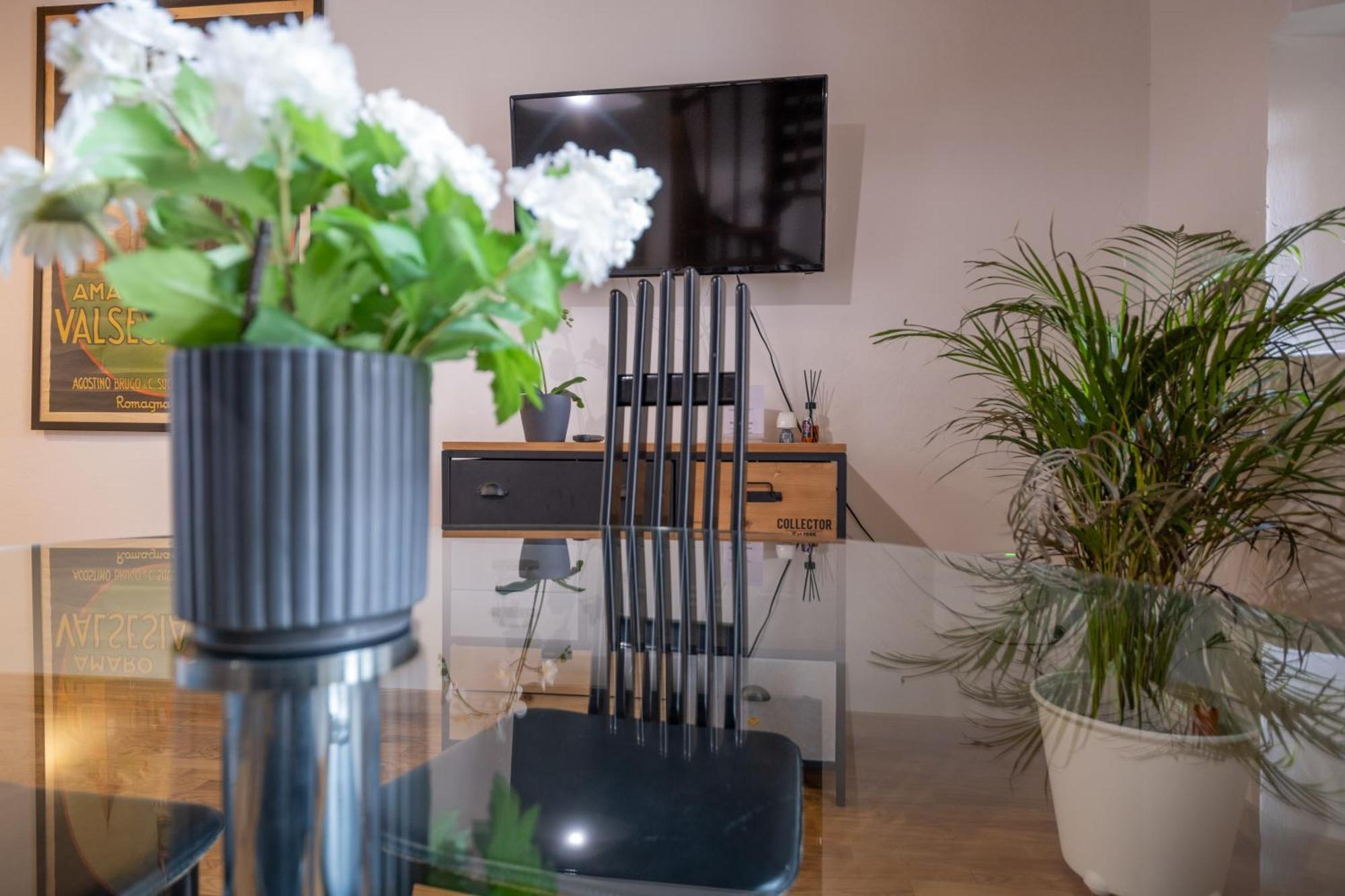 Lungarno Buozzi 7 Apartments Pisa Dış mekan fotoğraf